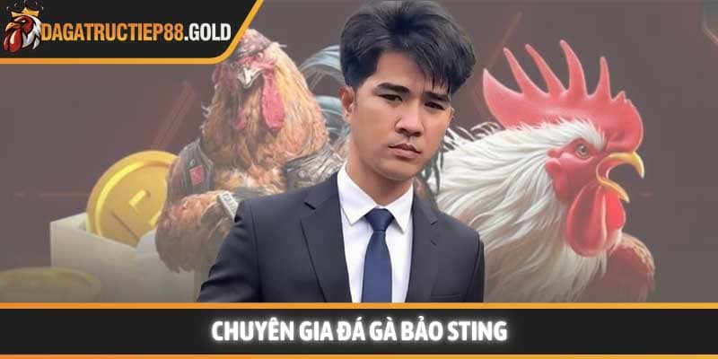 Tác Giả Bảo Sting - Cao Thủ Xem Vảy Gà & Soi Kèo Thomo 4.0