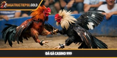 Đá gà casino 999 và bí quyết xem thi đấu chuyên nghiệp