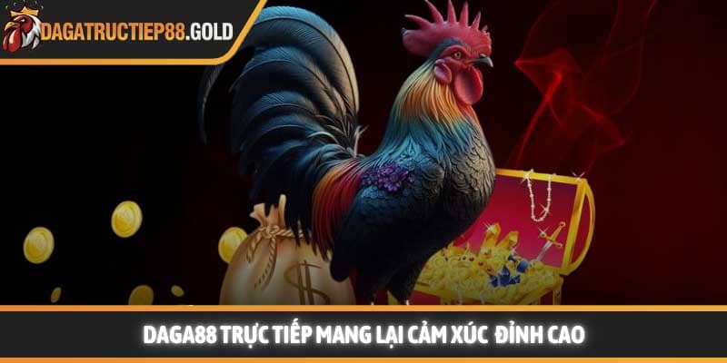 Daga88 trực tiếp mang lại cảm xúc vỡ òa