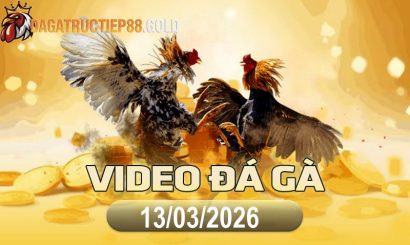 img video da ga cpc4 1773446872