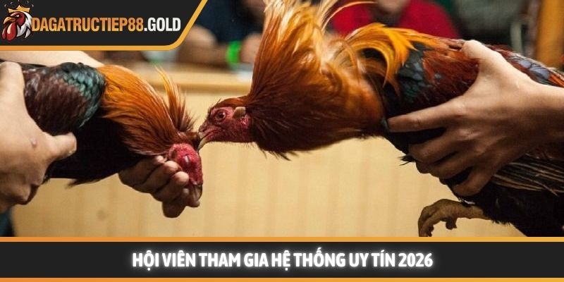 Hội viên tham gia hệ thống uy tín