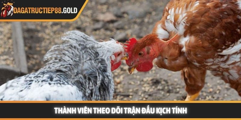 Thành viên theo dõi trận đấu kịch tính