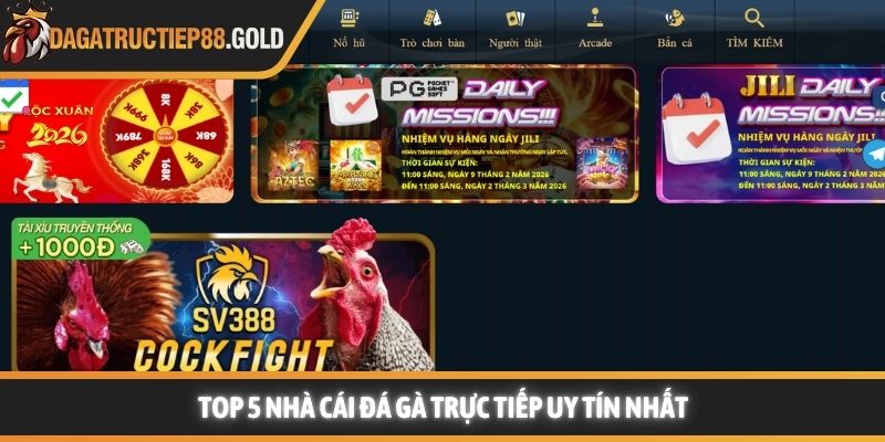 Top 5 nhà cái đá gà trực tiếp uy tín nhất