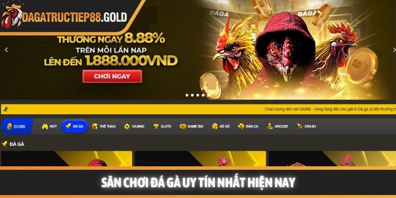 Sân chơi giải trí trực tiếp đá gà uy tín nhất hiện nay