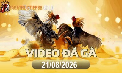 img video da ga cpc4 1787356807